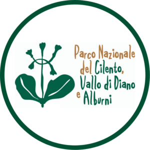 Primula di Palinuro — Cilento